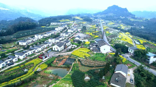 沐川高笋乡富硒茶果（沐川高笋乡富硒茶果）-硒宝网