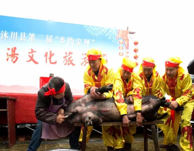 沐川高笋乡富硒茶果（沐川高笋乡富硒茶果）-硒宝网