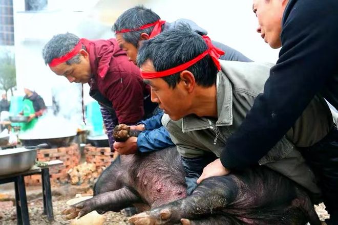 沐川高笋乡富硒茶果（沐川高笋乡富硒茶果）-硒宝网