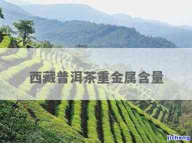 原生富硒普洱茶8年(普洱富硒茶的价格)-硒宝网