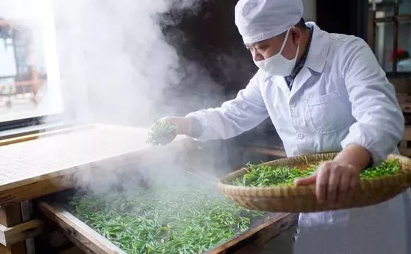 恩施富硒茶有什么用(恩施富硒茶口感如何)-硒宝网