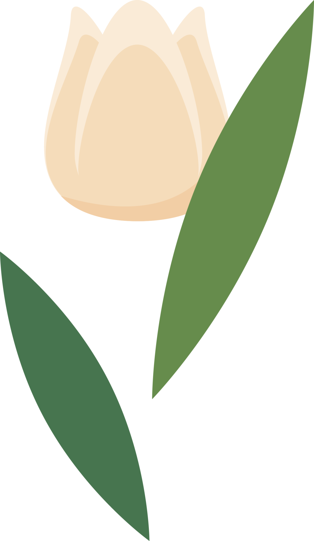 恩施富硒茶有什么用(恩施富硒茶口感如何)-硒宝网