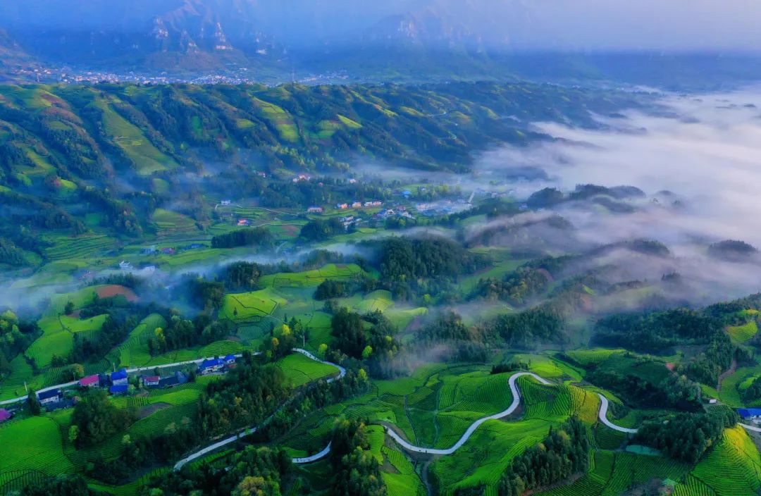 恩施富硒茶有什么用(恩施富硒茶口感如何)-硒宝网