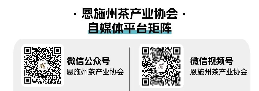 恩施富硒茶有什么用(恩施富硒茶口感如何)-硒宝网