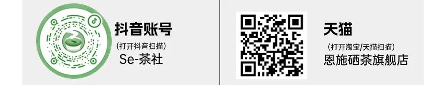 恩施富硒茶有什么用(恩施富硒茶口感如何)-硒宝网