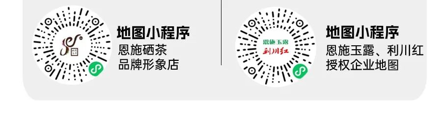 恩施富硒茶有什么用(恩施富硒茶口感如何)-硒宝网