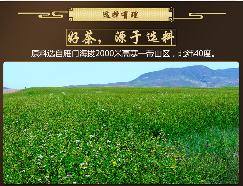 雁门清高富硒苦荞茶(雁门清高苦荞健茶)-硒宝网