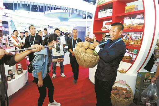 雁门清高富硒苦荞茶（雁门清高苦荞面）-硒宝网