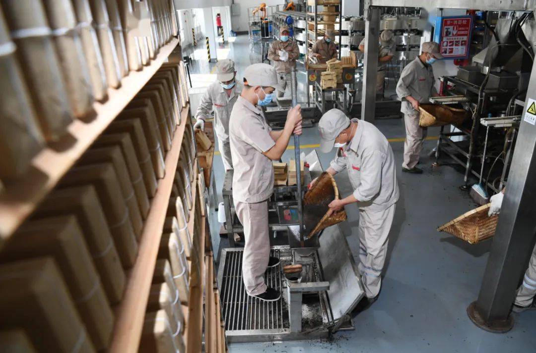 富硒黑茶是哪里产的(富硒黑茶多少钱)-硒宝网