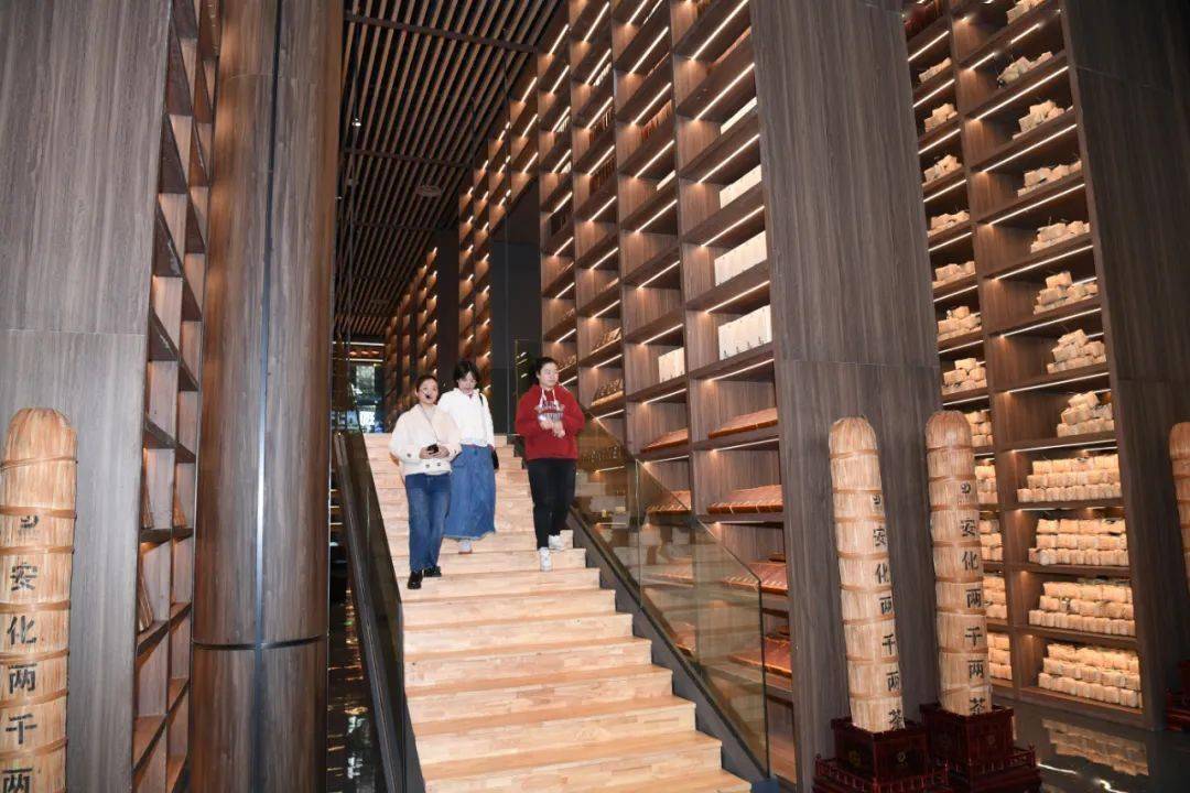 富硒黑茶是哪里产的(富硒黑茶多少钱)-硒宝网