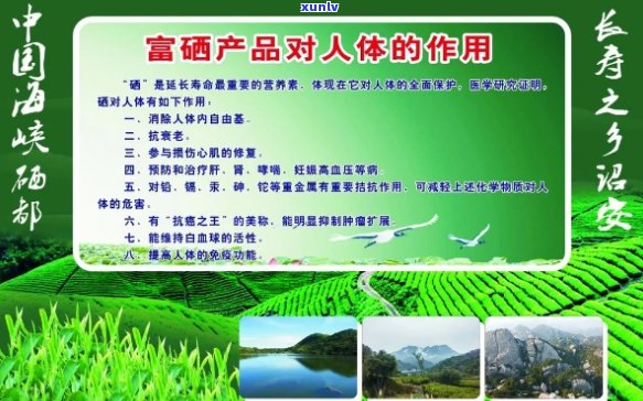 富硒茶喝多会掉发吗（喝掉茶发富硒会发胖吗）-硒宝网