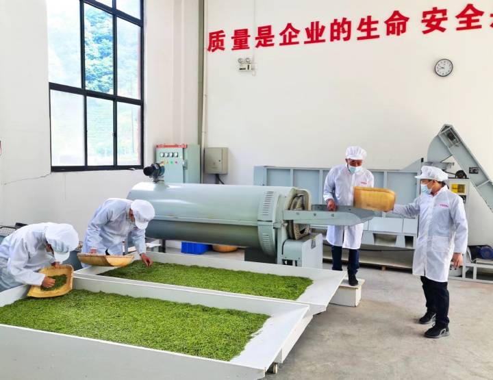 岚皋县南宫山富硒茶(南宫山富硒茶属于什么茶)-硒宝网