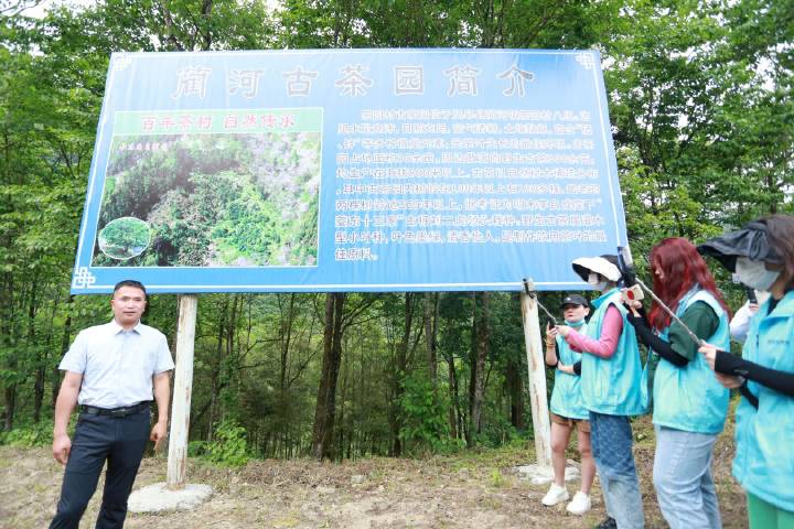 岚皋县南宫山富硒茶(南宫山富硒茶属于什么茶)-硒宝网