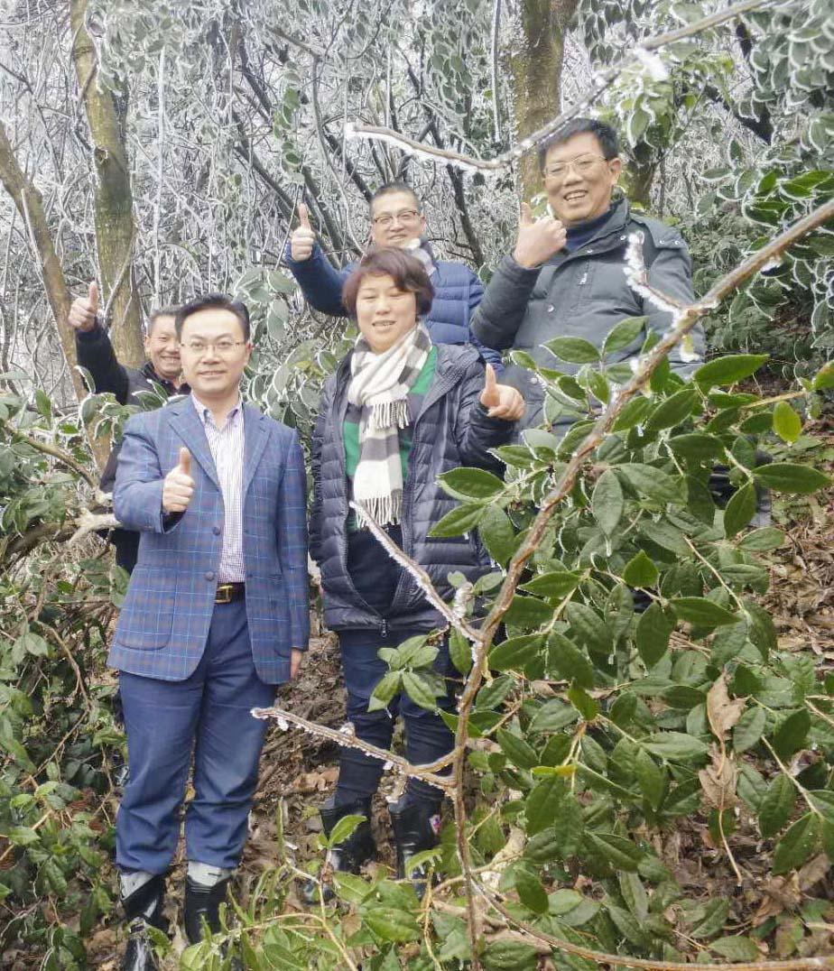 茗品富硒贡茶好喝吗(富硒贡茶是绿茶吗)-硒宝网