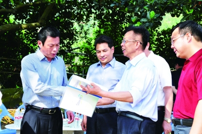 漳州诏安富硒八仙茶(福建诏安富硒八仙茶)-硒宝网