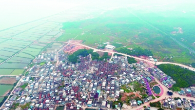 漳州诏安富硒八仙茶(福建诏安富硒八仙茶)-硒宝网