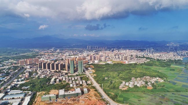 漳州诏安富硒八仙茶（诏安八仙茶茶王）-硒宝网