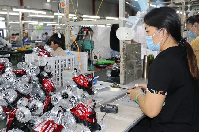 漳州诏安富硒八仙茶（诏安八仙茶茶王）-硒宝网