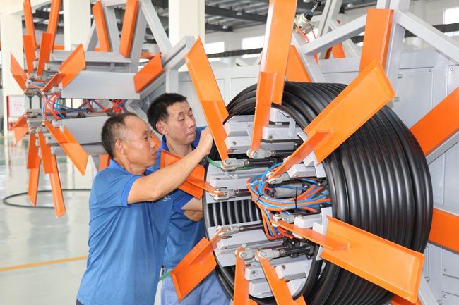 漳州诏安富硒八仙茶（诏安八仙茶茶王）-硒宝网