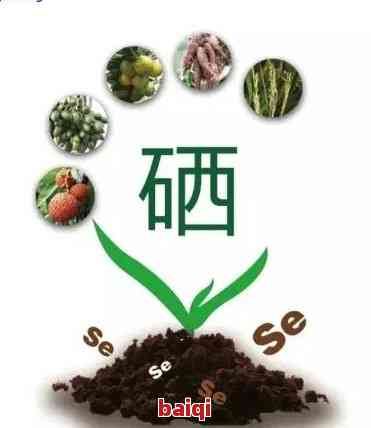 土家富硒藤茶多少钱(富硒藤茶的价格)-硒宝网