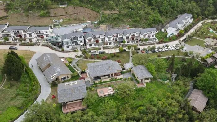 紫阳县富硒茶采摘园(紫阳富硒茶山)-硒宝网