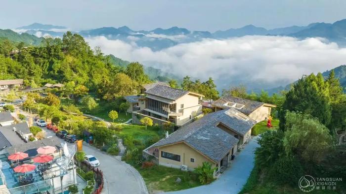 紫阳县富硒茶采摘园(紫阳富硒茶山)-硒宝网