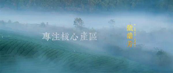 岳西翠兰是富硒茶吗（岳西翠兰2021新茶价格）-硒宝网