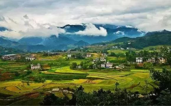 南宫山富硒茶怎么样(南宫山富硒茶礼盒价格)-硒宝网