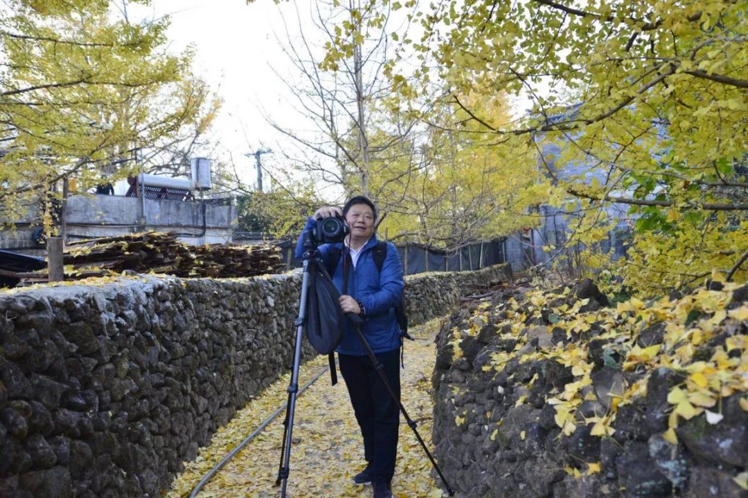 紫阳富硒茶属热属凉(紫阳茶富硒茶)-硒宝网