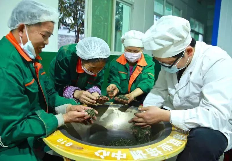 紫阳富硒茶属热属凉(紫阳茶富硒茶)-硒宝网