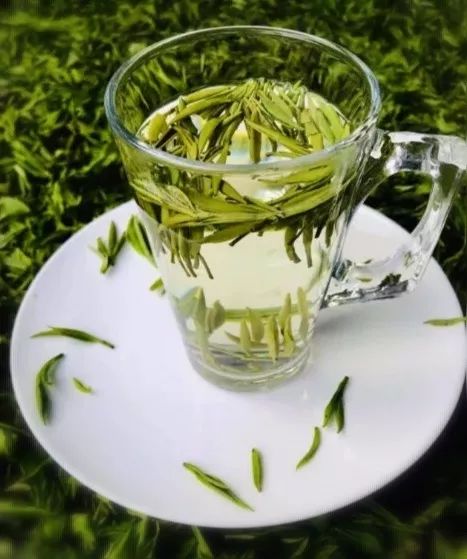 紫阳富硒茶属热属凉(紫阳茶富硒茶)-硒宝网