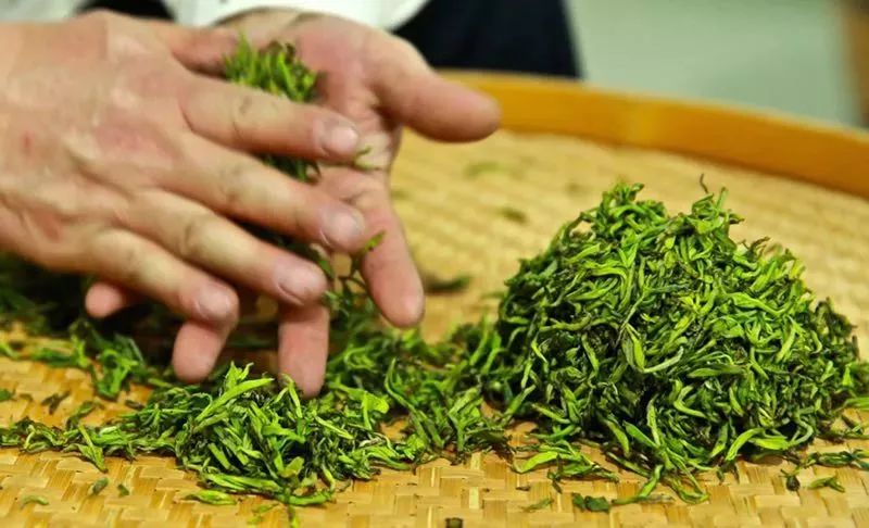 紫阳富硒茶属热属凉(紫阳茶富硒茶)-硒宝网