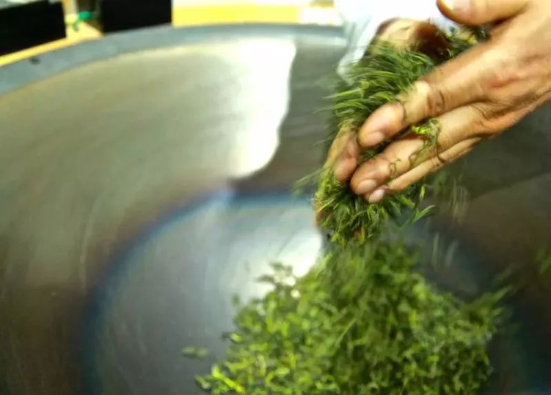 紫阳富硒茶属热属凉(紫阳茶富硒茶)-硒宝网