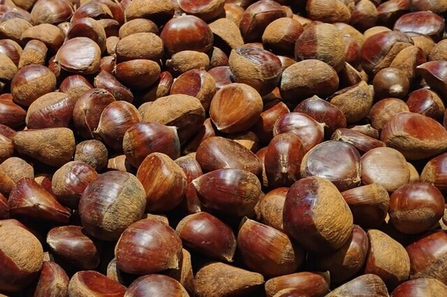 富硒茶喝起来的味道（喝富硒茶身体有什么反应）-硒宝网