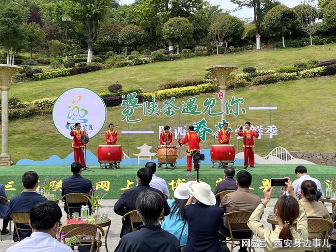 南宫山富硒茶怎么样(南宫山富硒茶价格)-硒宝网