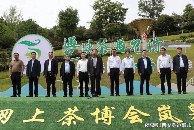 南宫山富硒茶怎么样(南宫山富硒茶价格)-硒宝网