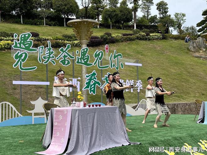 南宫山富硒茶怎么样(南宫山富硒茶价格)-硒宝网