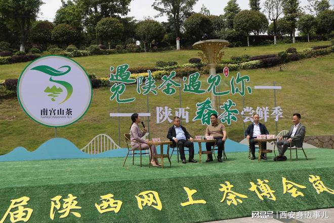 南宫山富硒茶怎么样(南宫山富硒茶价格)-硒宝网