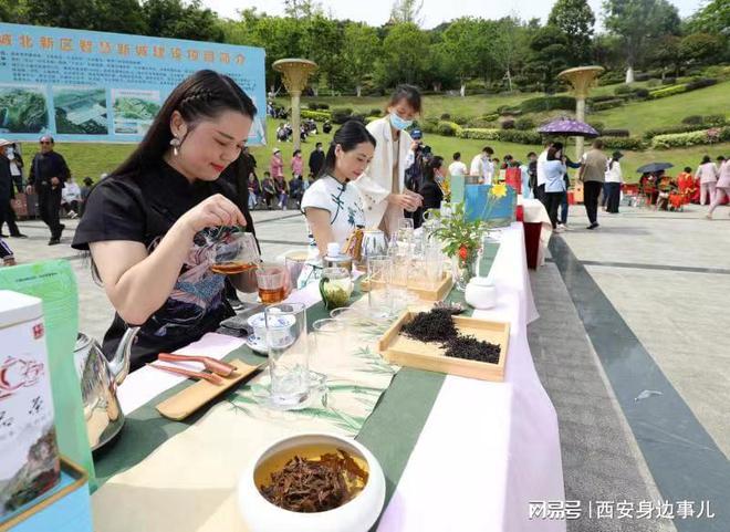南宫山富硒茶怎么样(南宫山富硒茶价格)-硒宝网