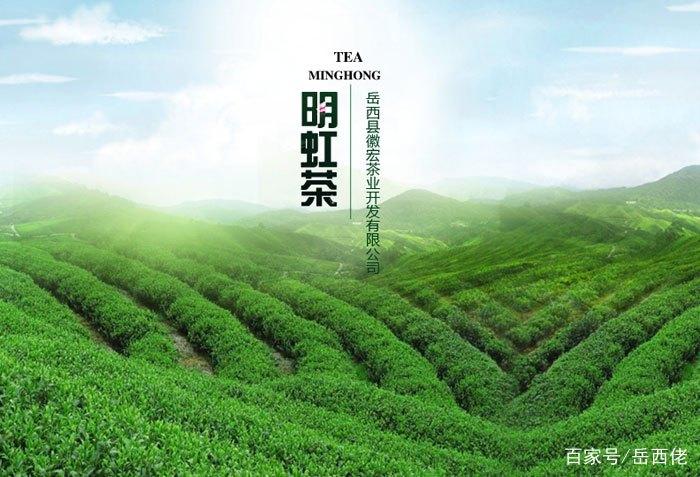 岳西翠兰是富硒茶吗（岳西翠兰茶的功效与作用）-硒宝网