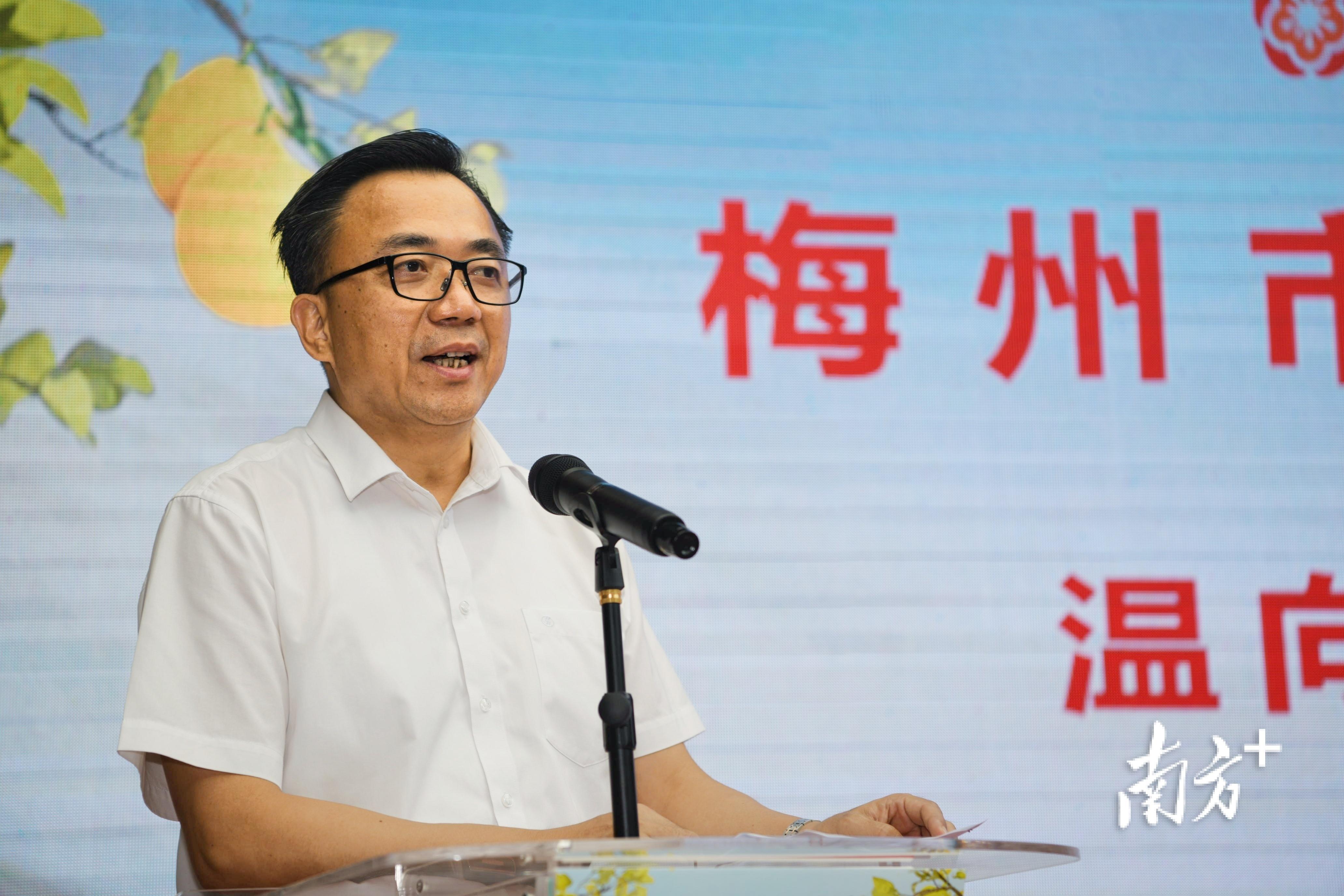 梅州富硒茶基在那里(梅州蕉岭富硒红茶)-硒宝网