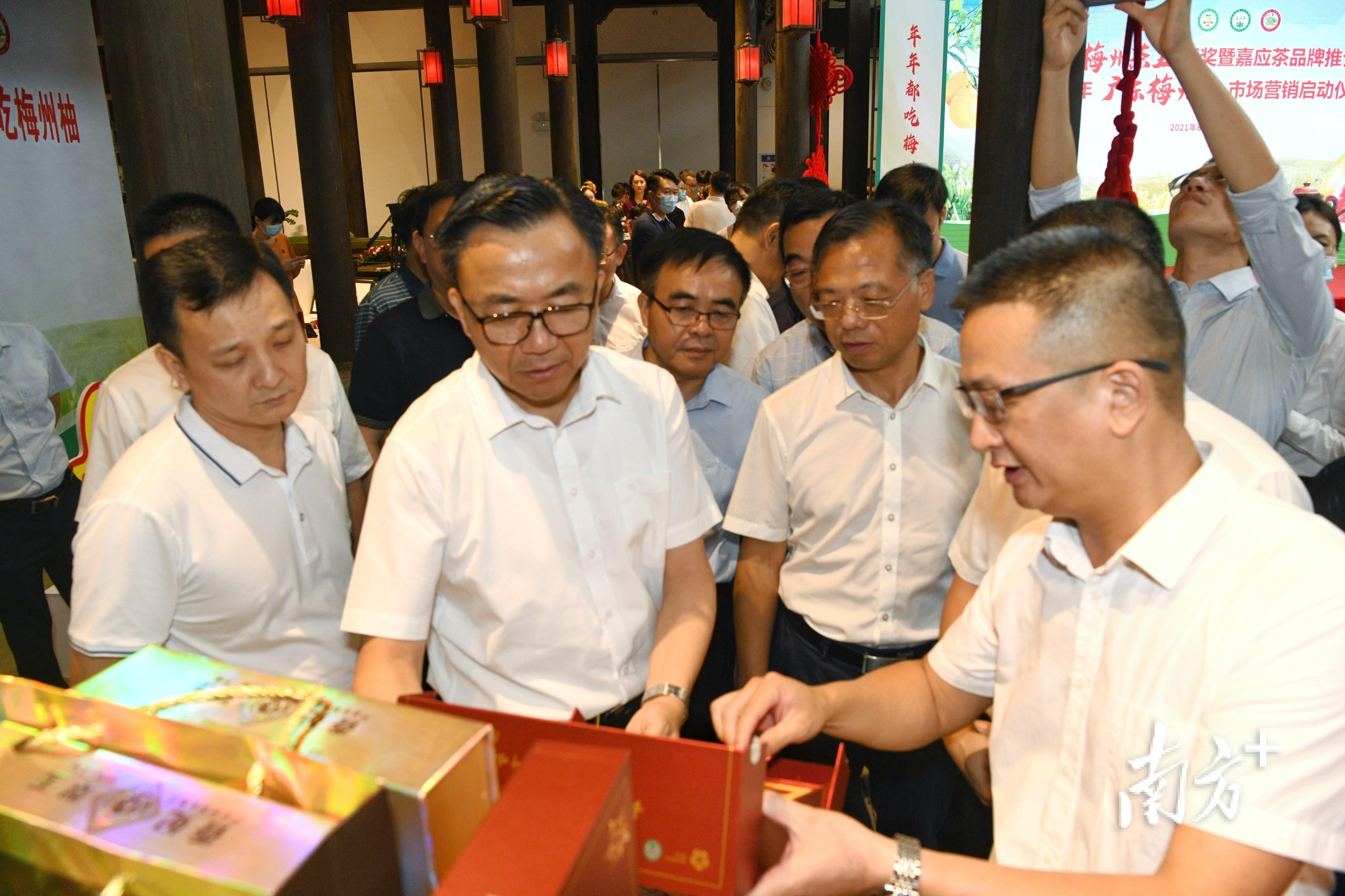 梅州富硒茶基在那里(梅州蕉岭富硒红茶)-硒宝网