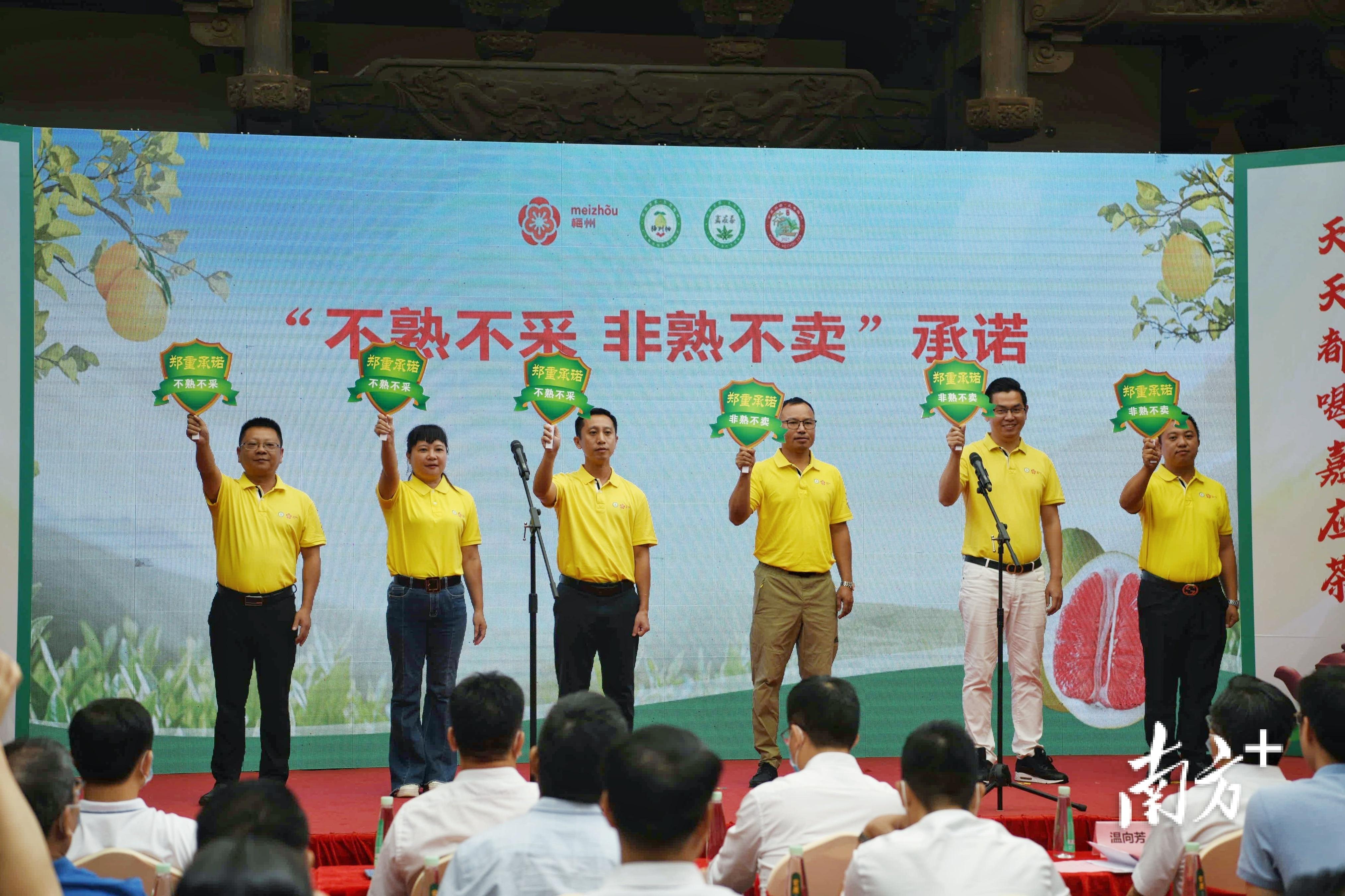 梅州富硒茶基在那里(梅州蕉岭富硒红茶)-硒宝网