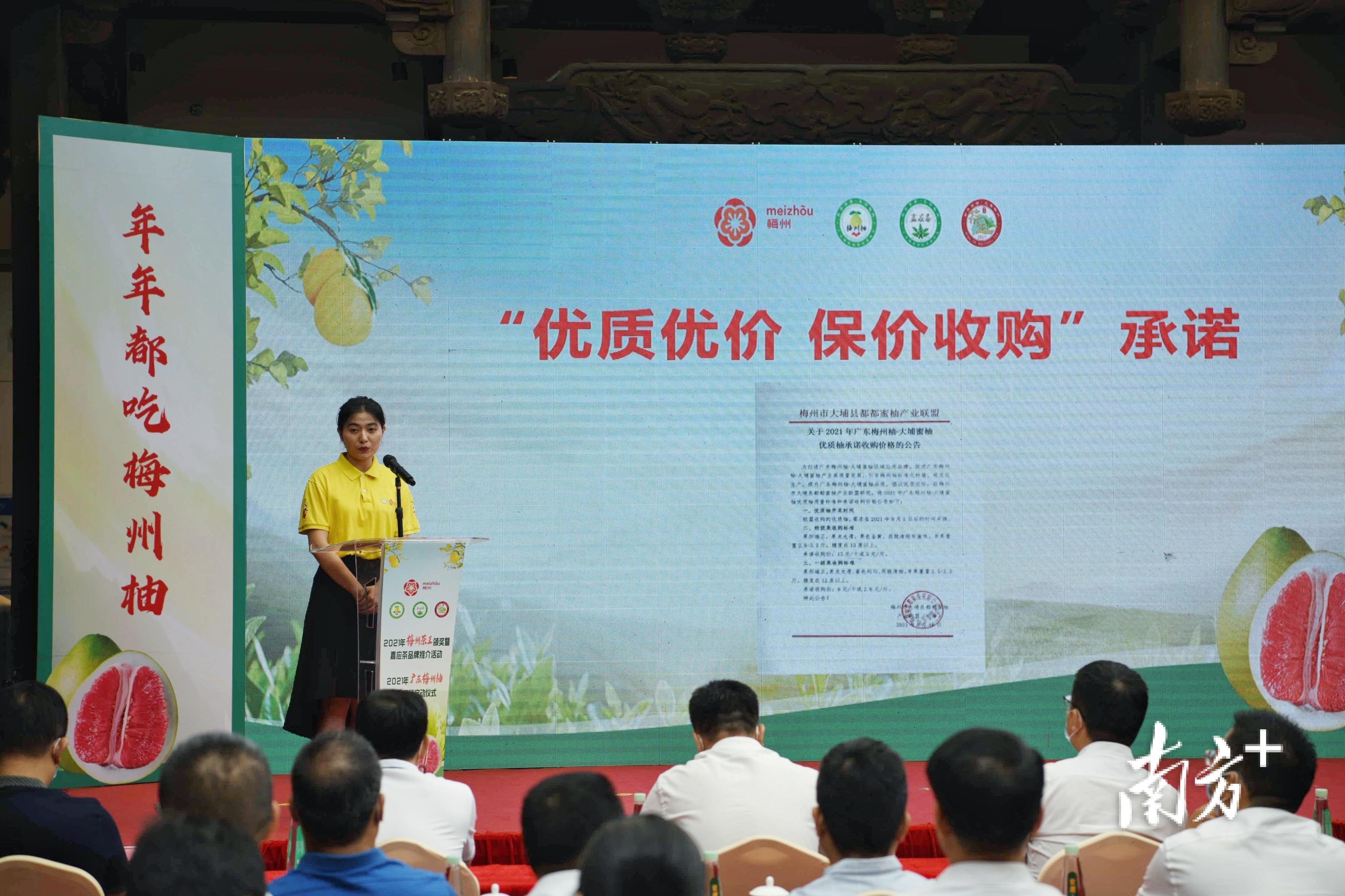 梅州富硒茶基在那里(梅州蕉岭富硒红茶)-硒宝网