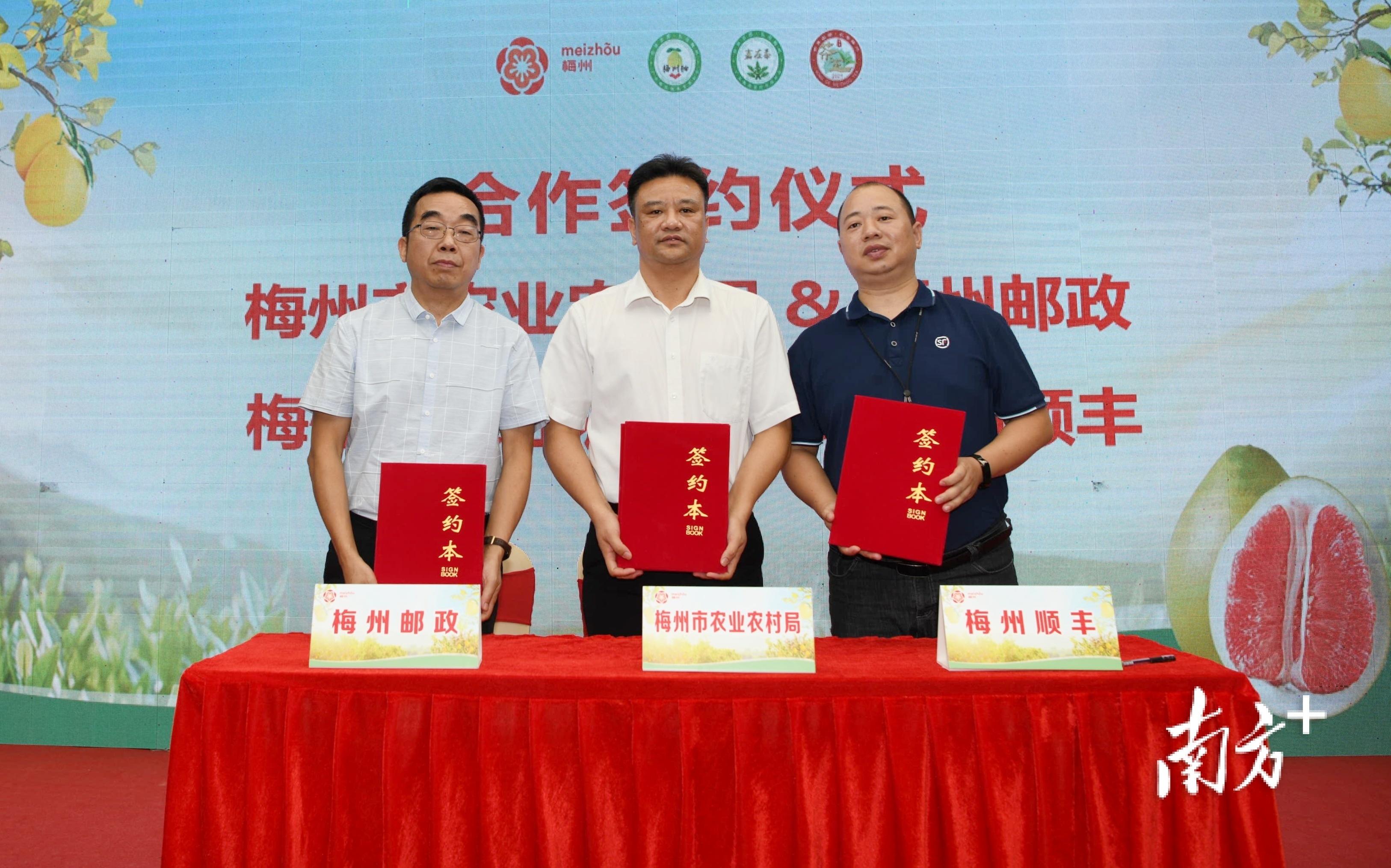 梅州富硒茶基在那里(梅州蕉岭富硒红茶)-硒宝网