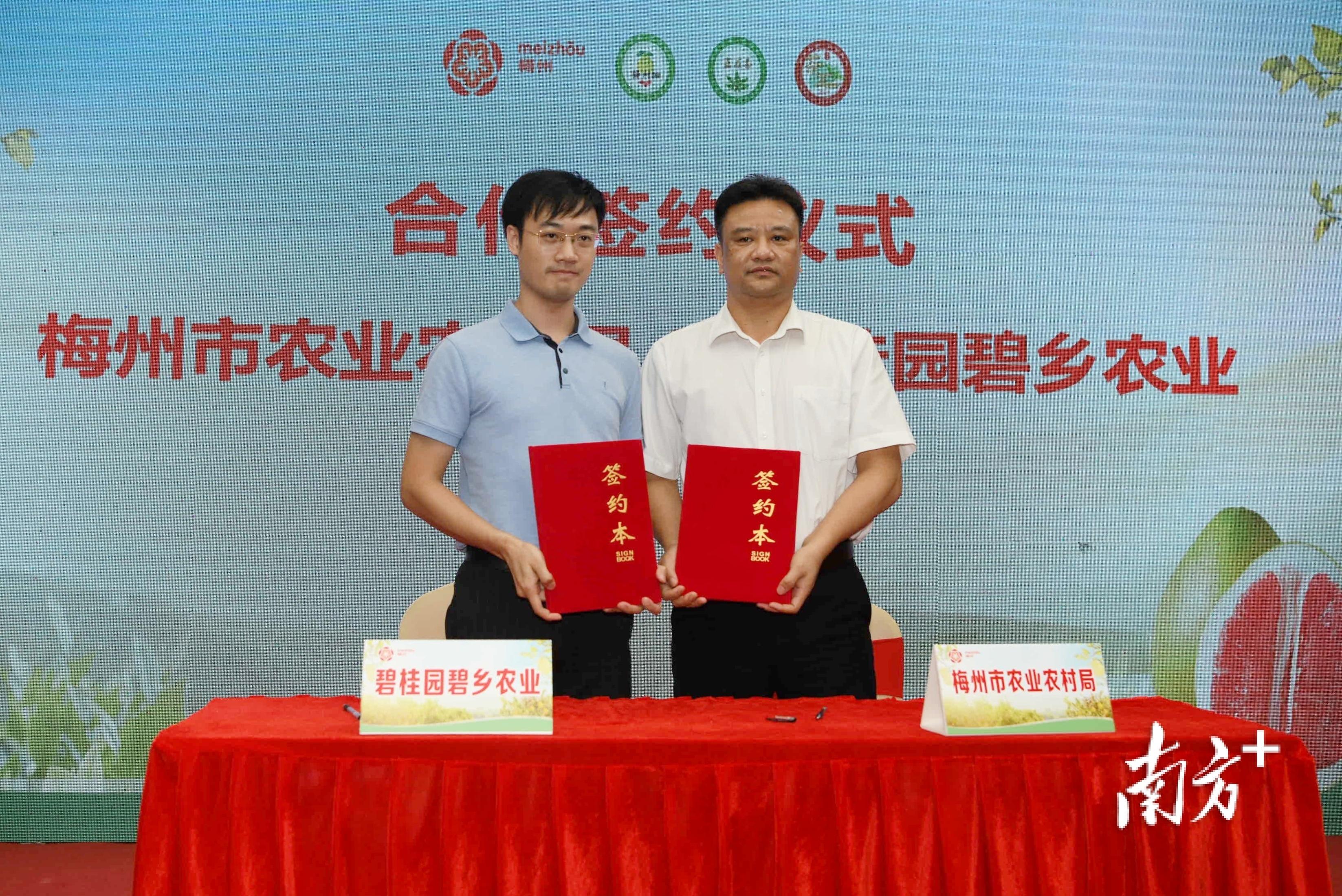 梅州富硒茶基在那里(梅州蕉岭富硒红茶)-硒宝网