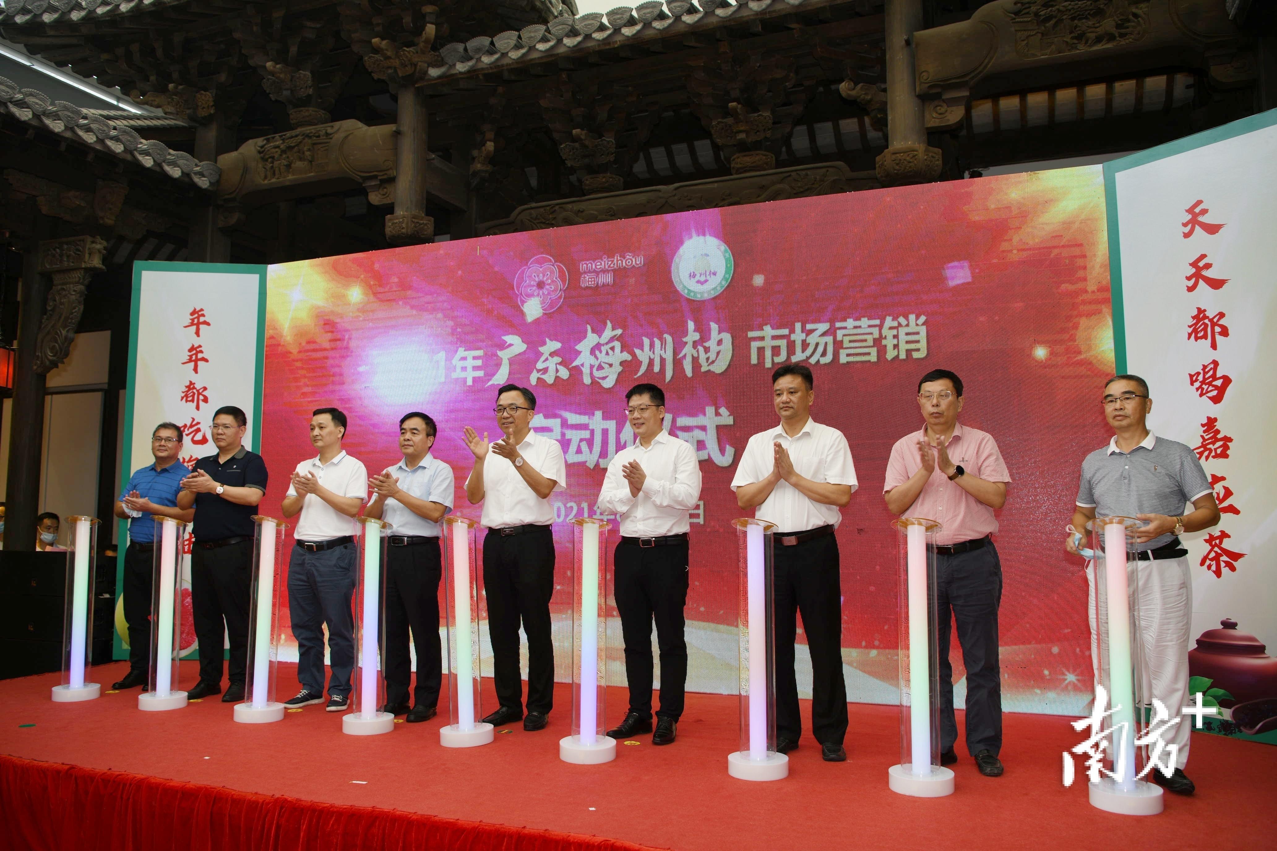 梅州富硒茶基在那里(梅州蕉岭富硒红茶)-硒宝网