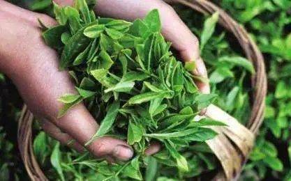 平利县有没有富硒茶(富硒茶庄)-硒宝网