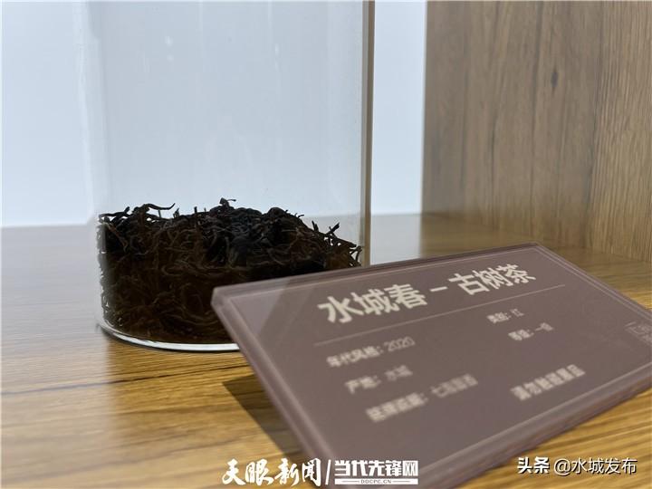 水城富硒茶妙笔生花(水城县富硒茶产业示范园区)-硒宝网
