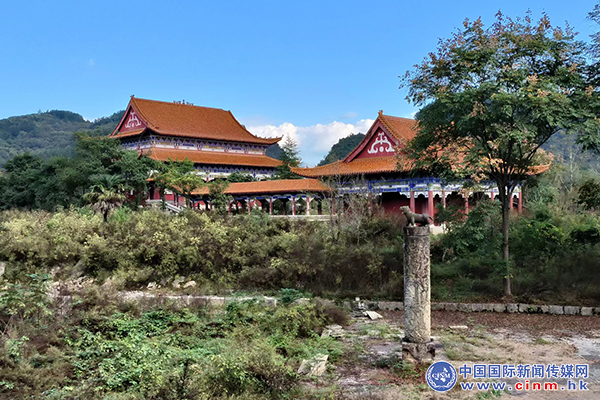 来凤富硒藤茶百福司(富硒来凤藤茶的作用)-硒宝网